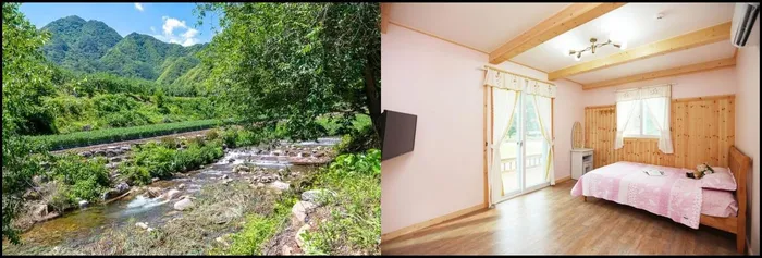 단양 숙소 단양 마카롱펜션 (Danyang Macaroons Pension)