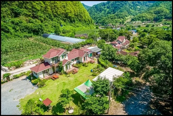 단양 숙소 단양 마카롱펜션 (Danyang Macaroons Pension)