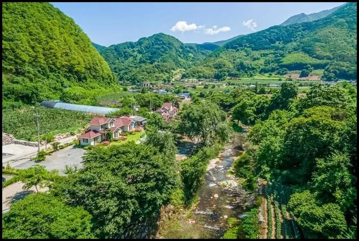 단양 숙소 단양 마카롱펜션 (Danyang Macaroons Pension)