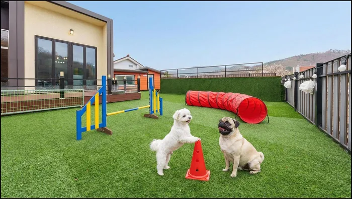 춘천 숙소 강촌 바일마을 애견 독채 풀빌라 펜션 (Gangchon Baile Village Pension)