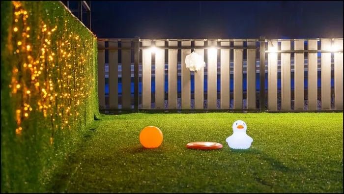 춘천 숙소 강촌 바일마을 애견 독채 풀빌라 펜션 (Gangchon Baile Village Pension)