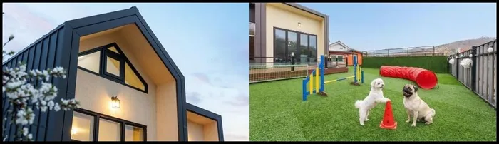 춘천 숙소 강촌 바일마을 애견 독채 풀빌라 펜션 (Gangchon Baile Village Pension)