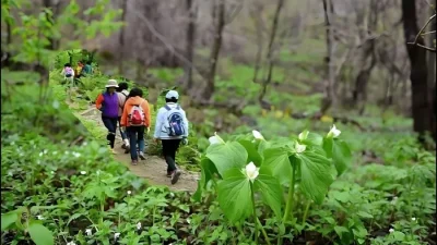 인제 숙소 강원 곰배령에버그린 (Gangwon Gombaeryeong Evergreen)