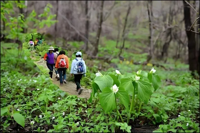 인제 숙소 강원 곰배령에버그린 (Gangwon Gombaeryeong Evergreen)