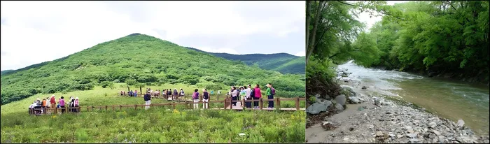 인제 숙소 강원 곰배령에버그린 (Gangwon Gombaeryeong Evergreen)