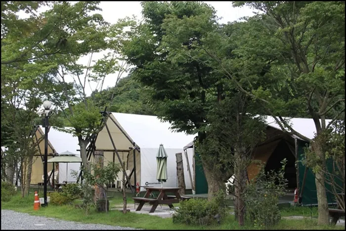 공주 숙소 계룡산 글램핑 동월숲 (Gongju kyerongsan glamping donwallsoop)