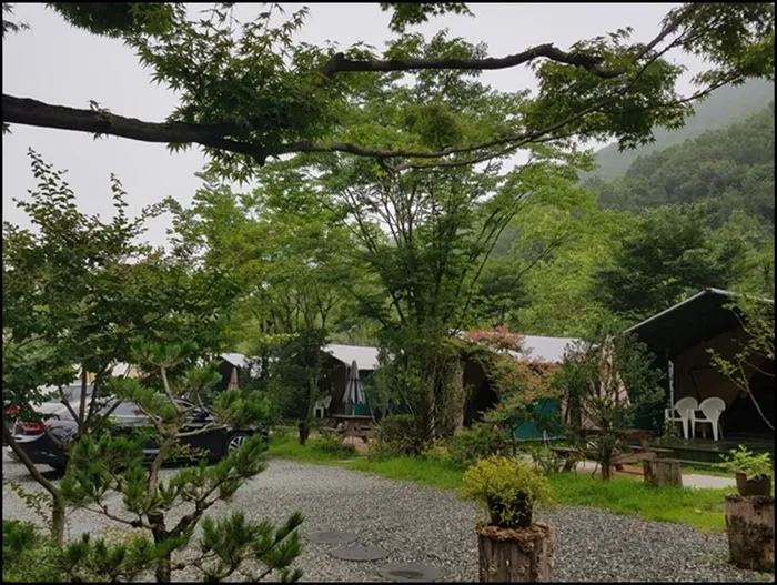 공주 숙소 계룡산 글램핑 동월숲 (Gongju kyerongsan glamping donwallsoop)