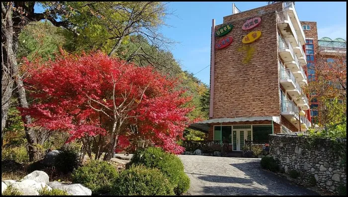 양양 숙소 굿스테이 갈천 패밀리 리조트 (Goodstay Galcheon Family Resort)