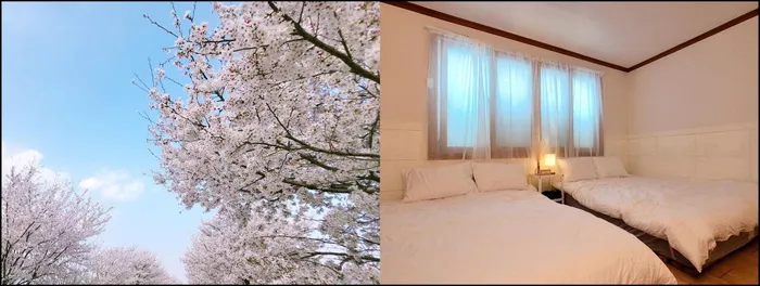 대구 숙소 기타 지역의 프라이빗 하우스 (66m², 침실 2개, 프라이빗 욕실 1개) (Happy Space Good Stay Private House)