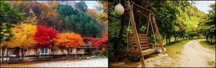 인제 숙소 인제 호랑바우펜션 (Inje Horangbau Pension)