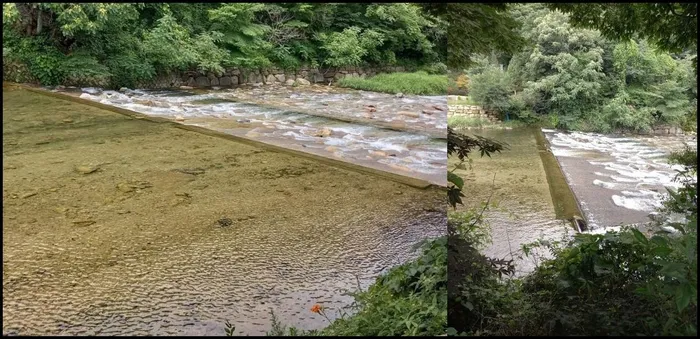 충주 숙소 제천 송계계곡캠핑장펜션 (Jecheon Songgye Valley Camping Site Pension)