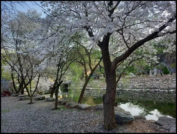 충주 숙소 제천 송계계곡캠핑장펜션 (Jecheon Songgye Valley Camping Site Pension)