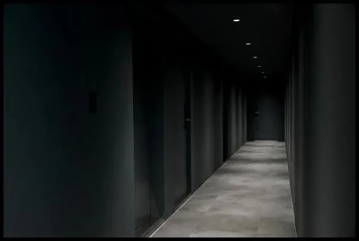 서울 숙소 모프 스테이 (Morf Stay)