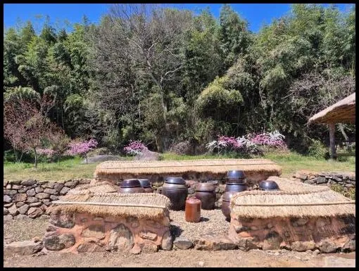 순천 숙소 낙안읍성 잔디민박 (Naganeupseong Jandi House)