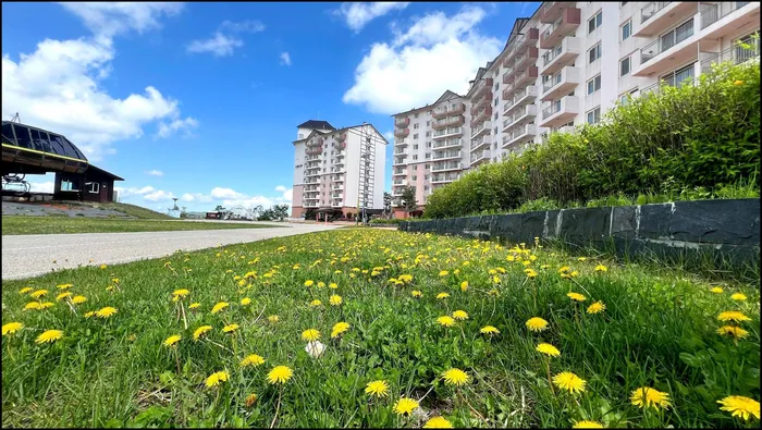 태백 숙소 오투 리조트 (O2 Resort)