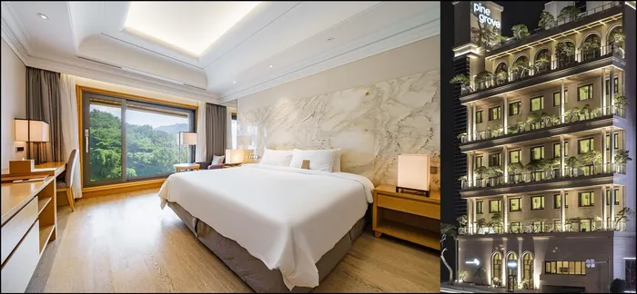 김해 숙소 파인 그로브 호텔 (Pine Grove Hotel)