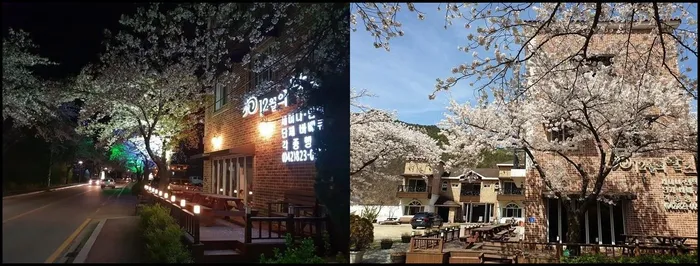 공주 숙소 공주 12월의왈츠펜션 (Princess December Waltz Pension)