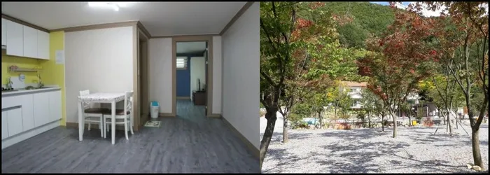 영월 숙소 영월 늘푸른펜션캠핑장 (Yeongwol Neulpureun Pension Camping Site (Special Offer))