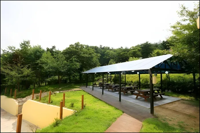 양양 숙소 패밀리 펜션 (yangyang family pension)